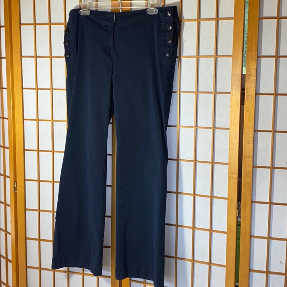 Ann Taylor Loft Julie Trouser Size 10